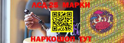 индика Гай