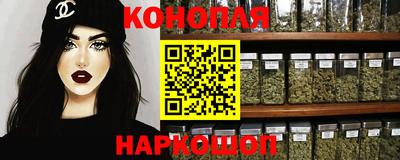 индика Гай