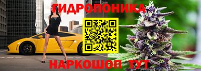 индика Гай