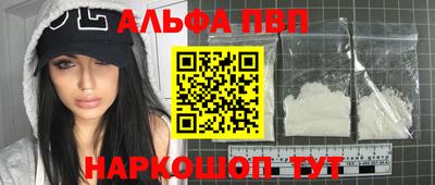 индика Гай