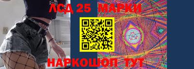 индика Гай